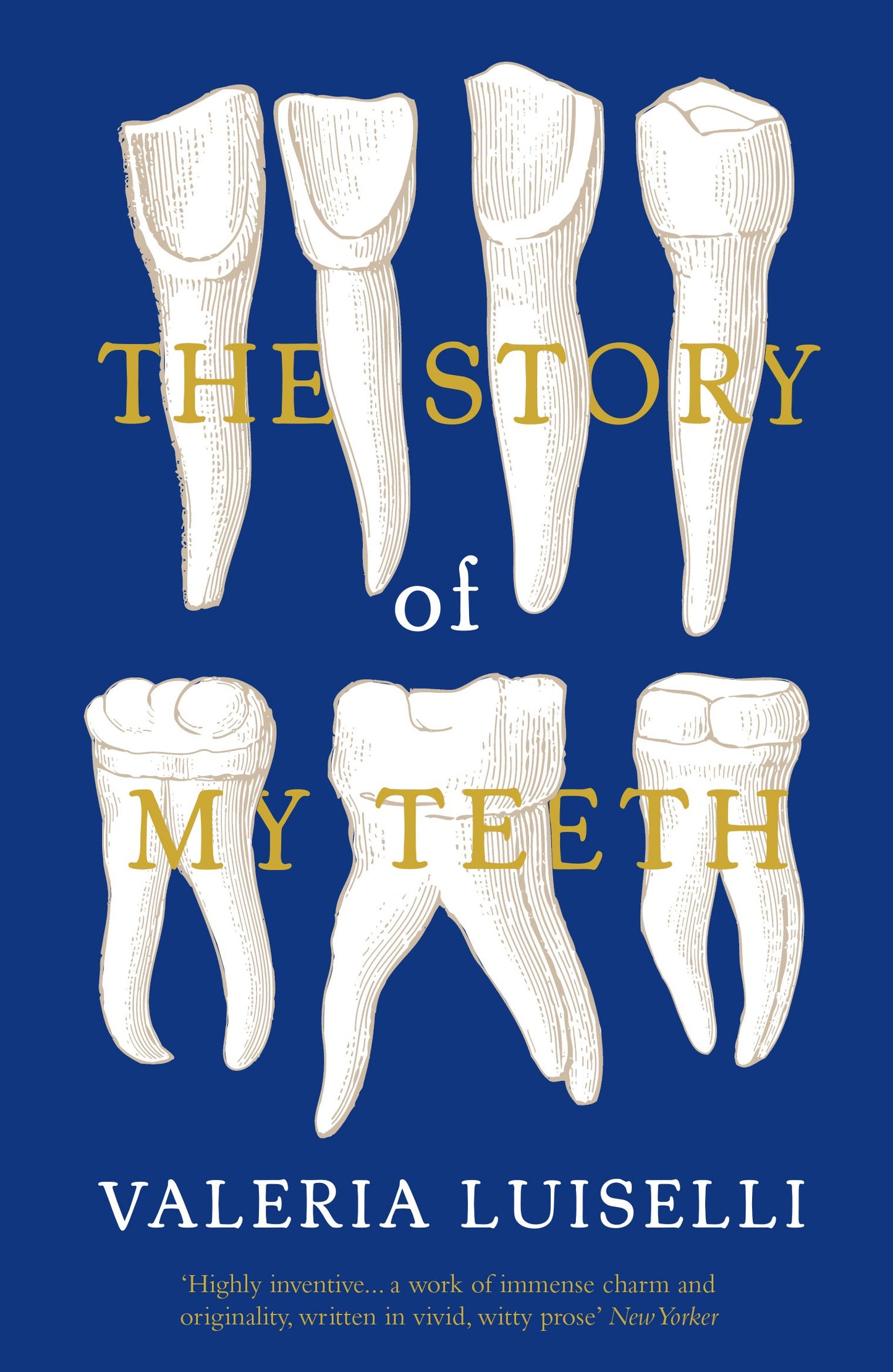 The Story of My Teeth