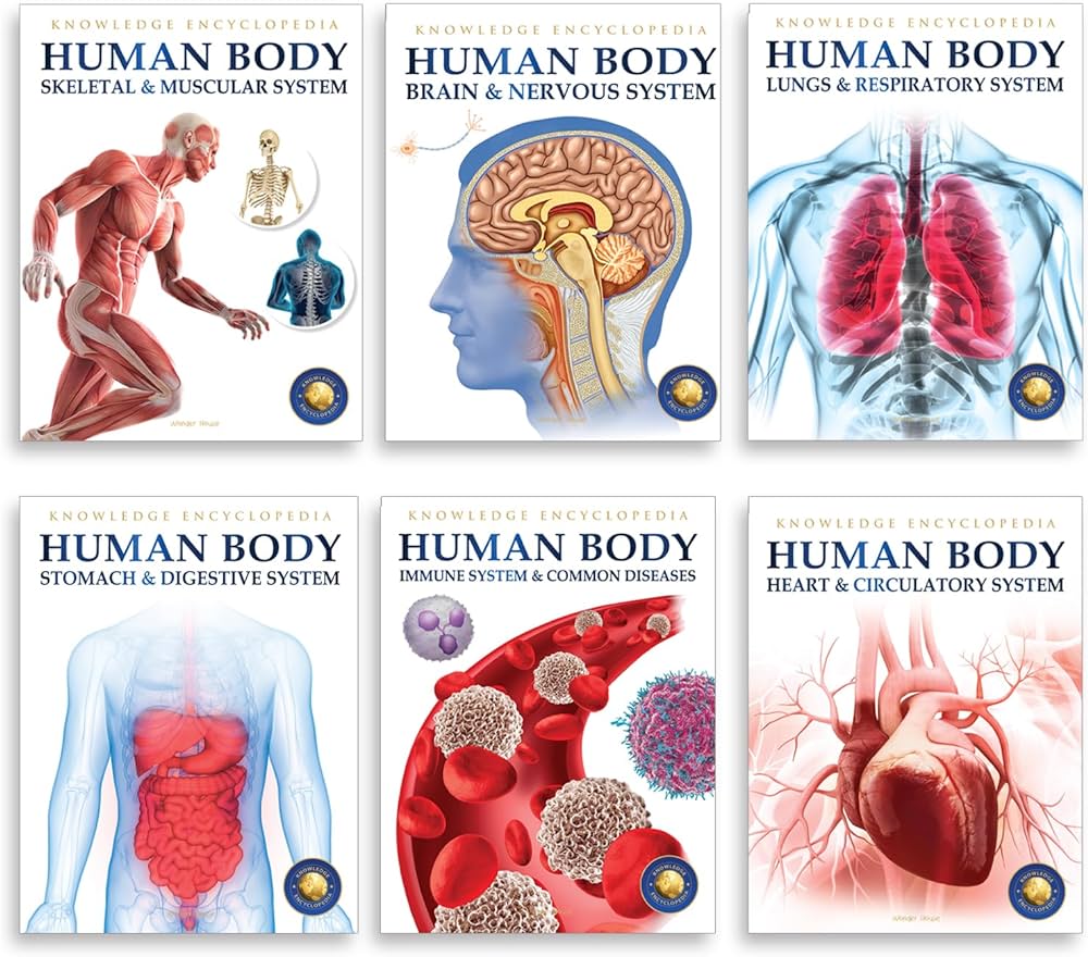 Human Body Collection