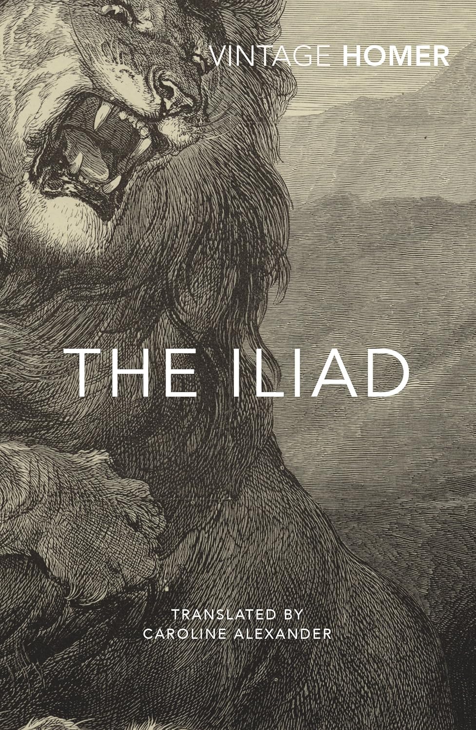 The Iliad