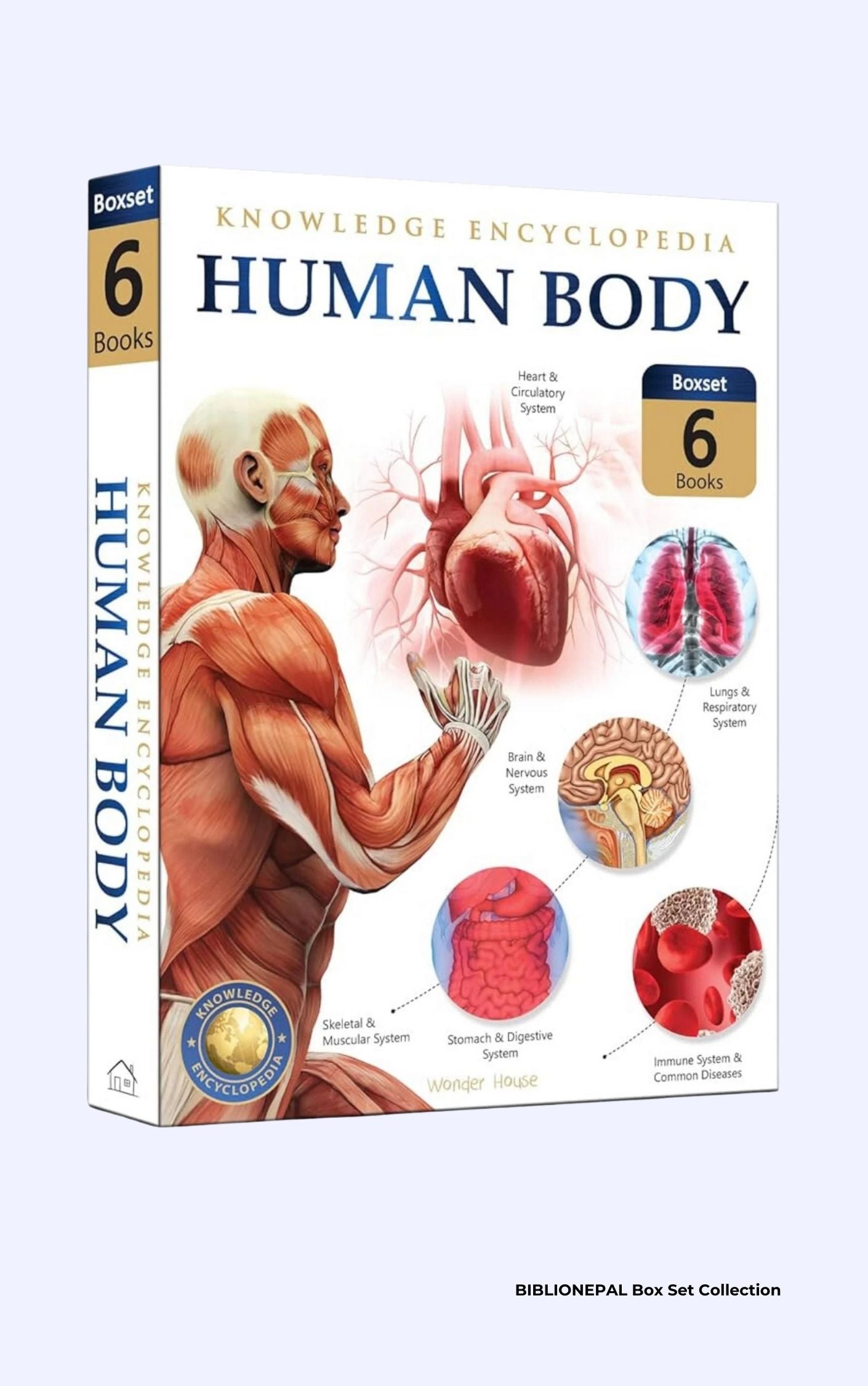 Human Body Collection