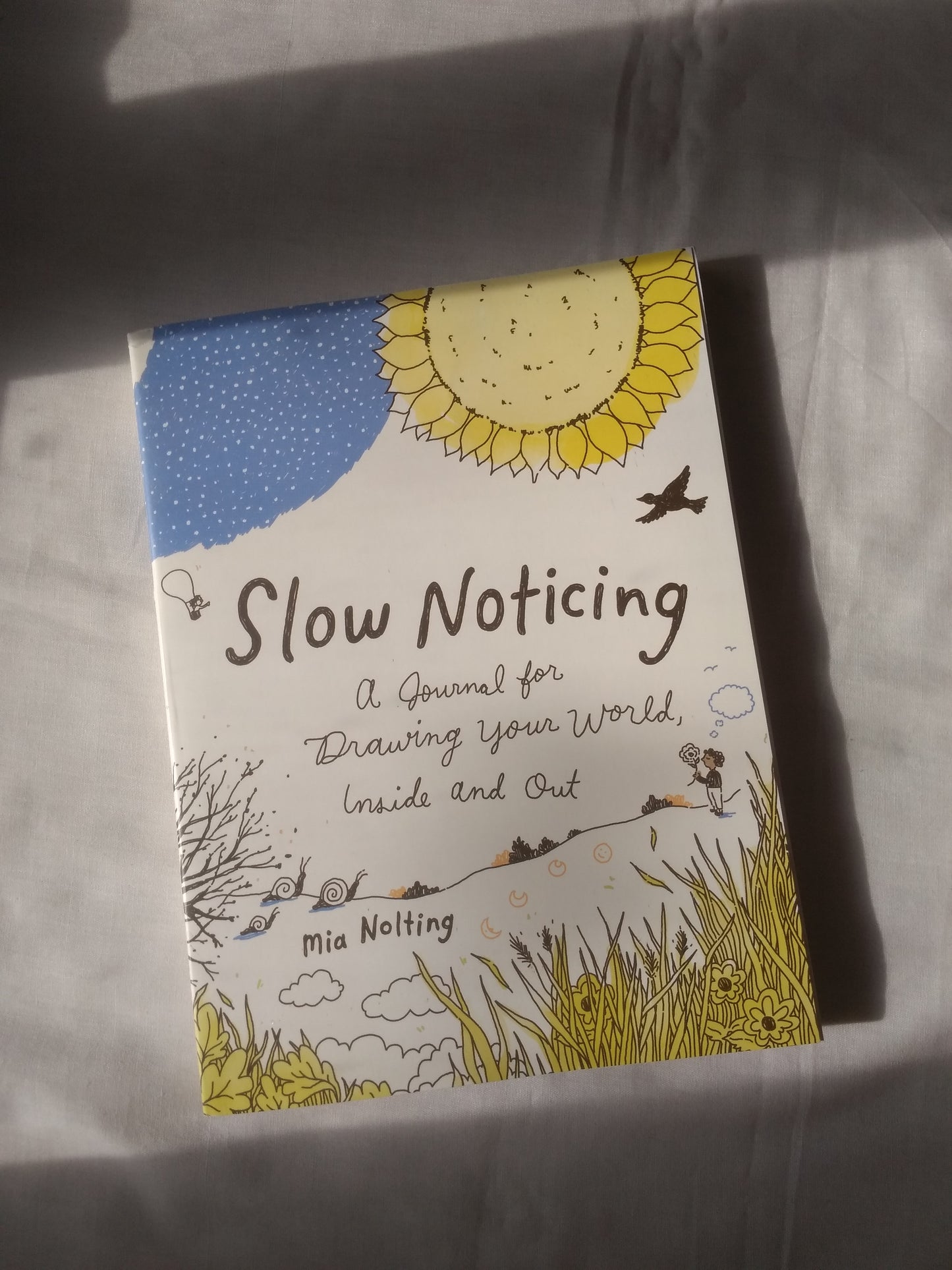 Slow Noticing