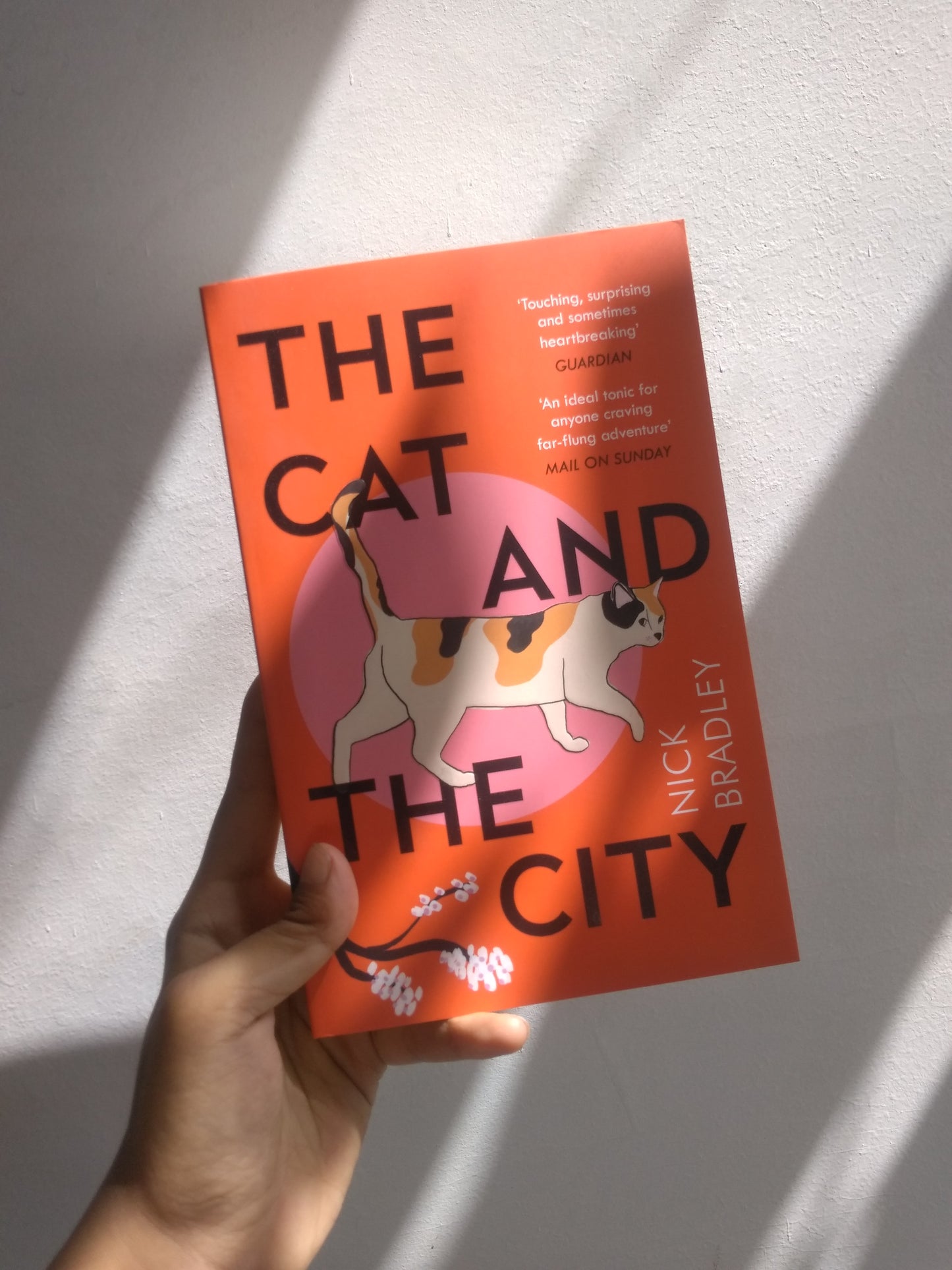 The Cat and The City