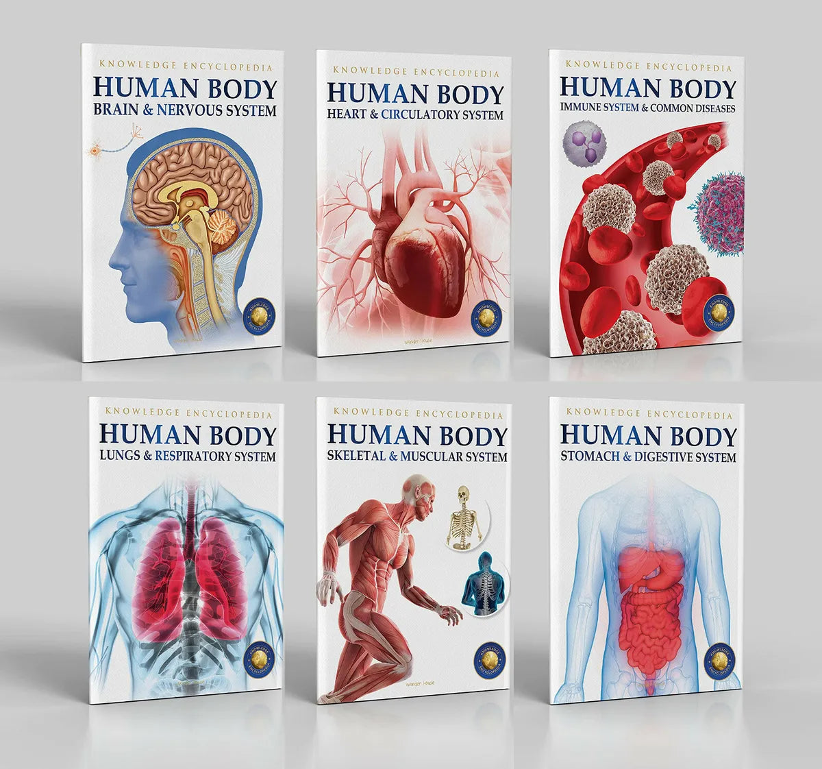 Human Body Collection