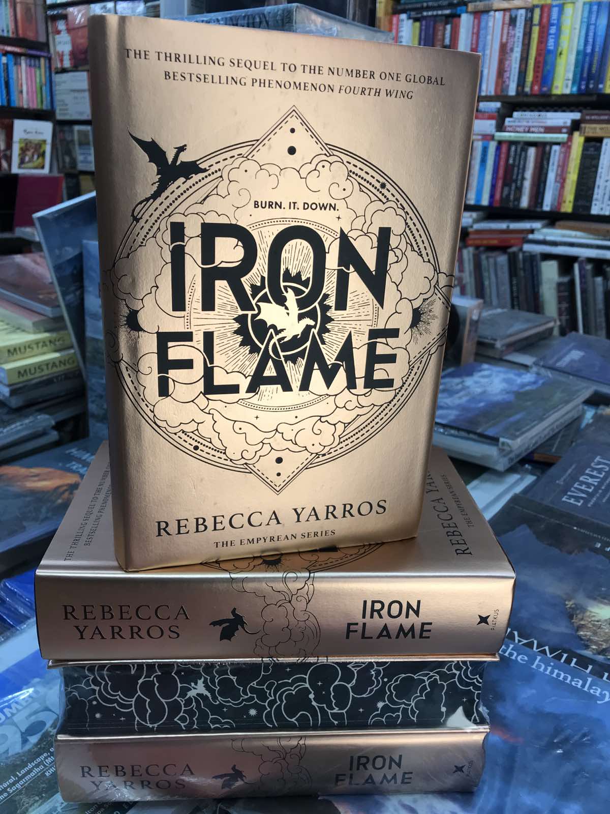 Iron Flame