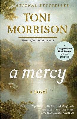 A Mercy - BIBLIONEPAL